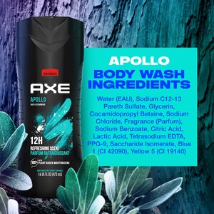 AXE Apollo Men's Body Wash Liquid - 16oz Refreshing Fragrances