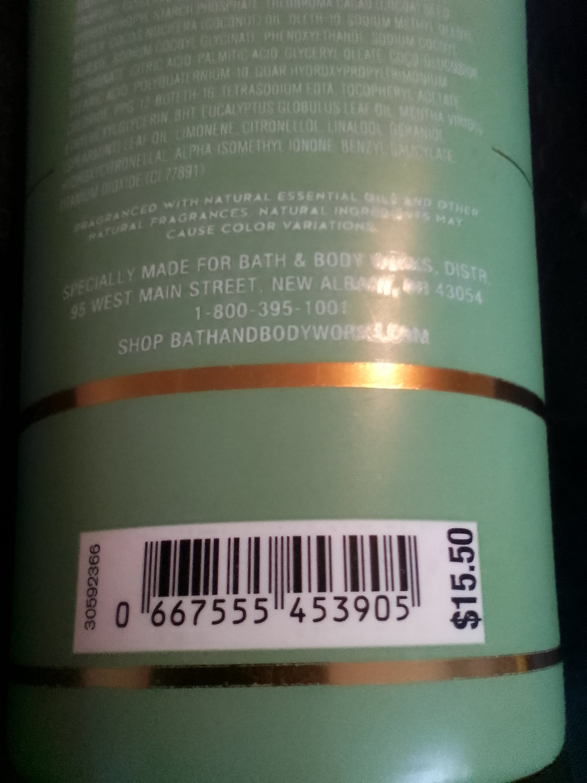 Bath and Body Works EUCALYPTUS + SPEARMINT Moisturizing Body Wash 10 oz