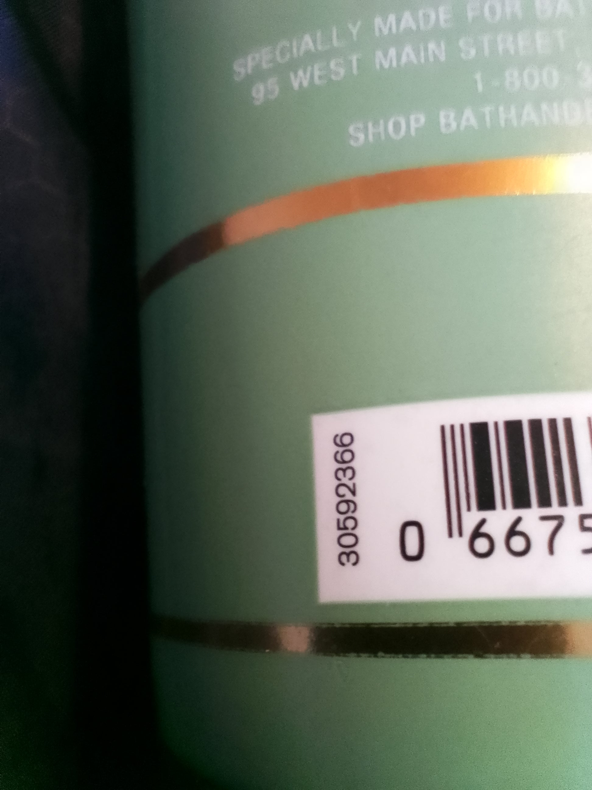 Bath and Body Works EUCALYPTUS + SPEARMINT Moisturizing Body Wash 10 oz